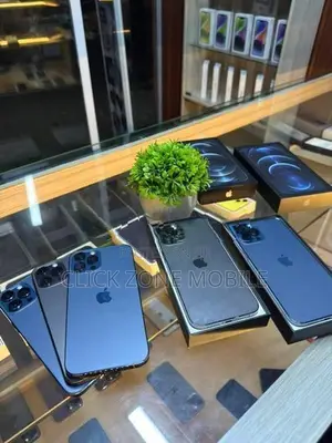 Apple iPhone 12 Pro Max (Used)