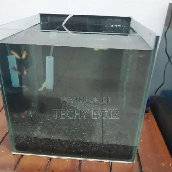 Cube Fish Tank Full set