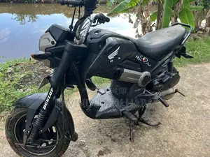 Honda Navi 2018