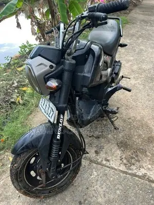Honda Navi 2018