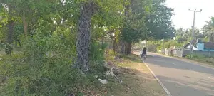 Land for Sale in Passikudah