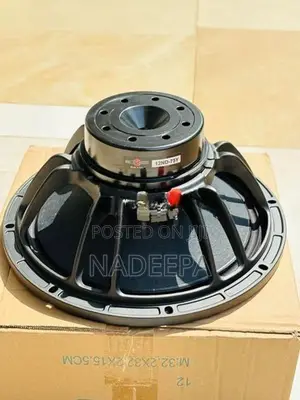 12' Line Array Speaker