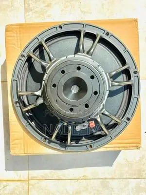12' Line Array Speaker