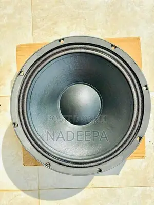 12' Line Array Speaker