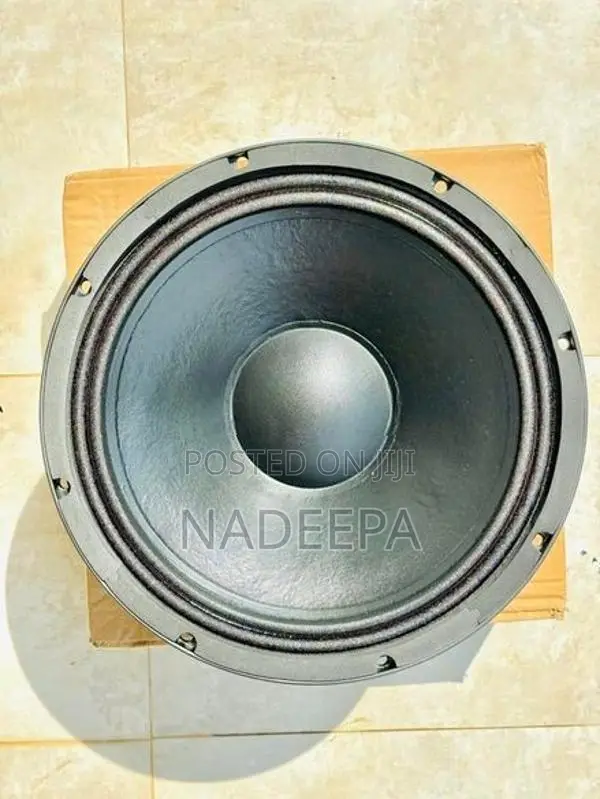 12' Line Array Speaker