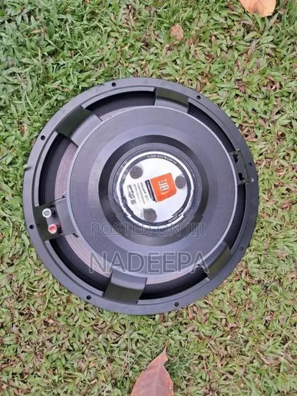 JBL 15 inch Speakers
