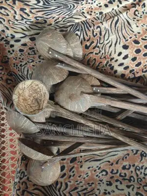 Coconut Shell Spoon