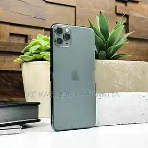 Apple iPhone 11 Pro Max 256GB (Used)