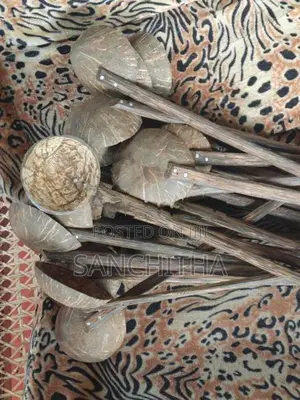 Coconut Shell Spoon