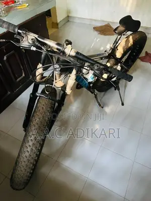 Fat Tyre Bike