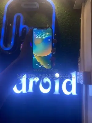 Apple iPhone X (Used)