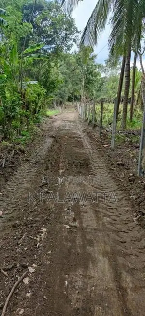 බුත්තල වටිනා ඉඩම