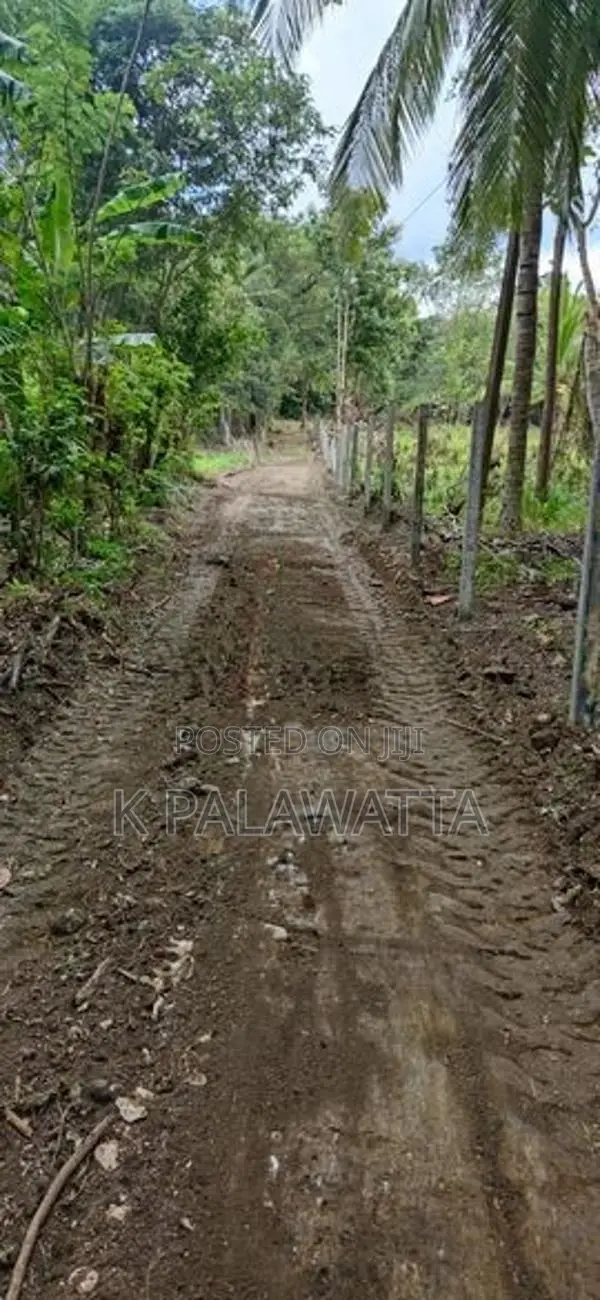 බුත්තල වටිනා ඉඩම