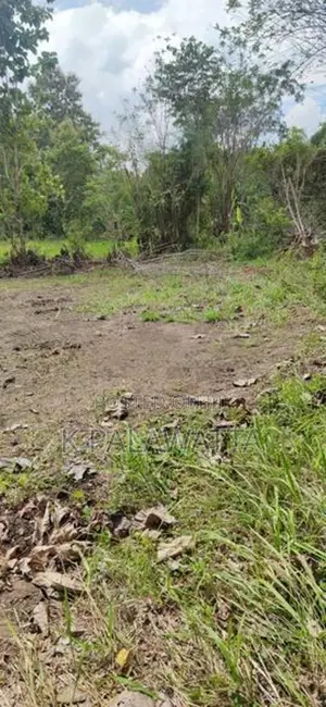 බුත්තල වටිනා ඉඩම