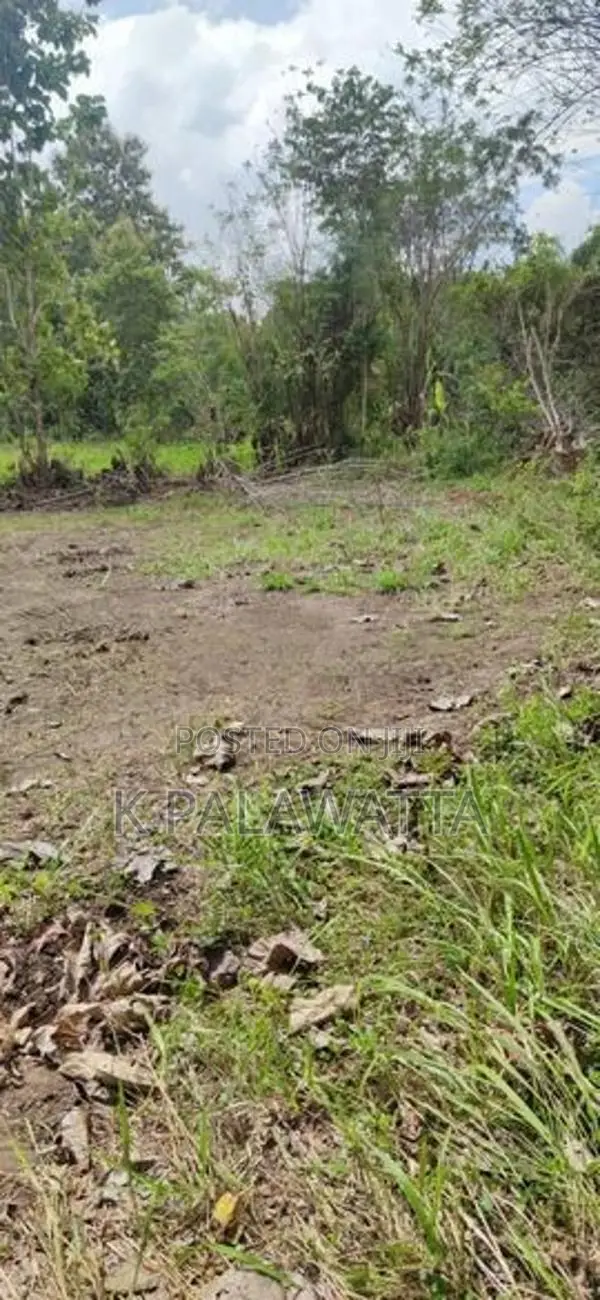 බුත්තල වටිනා ඉඩම