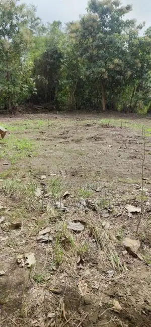 බුත්තල වටිනා ඉඩම
