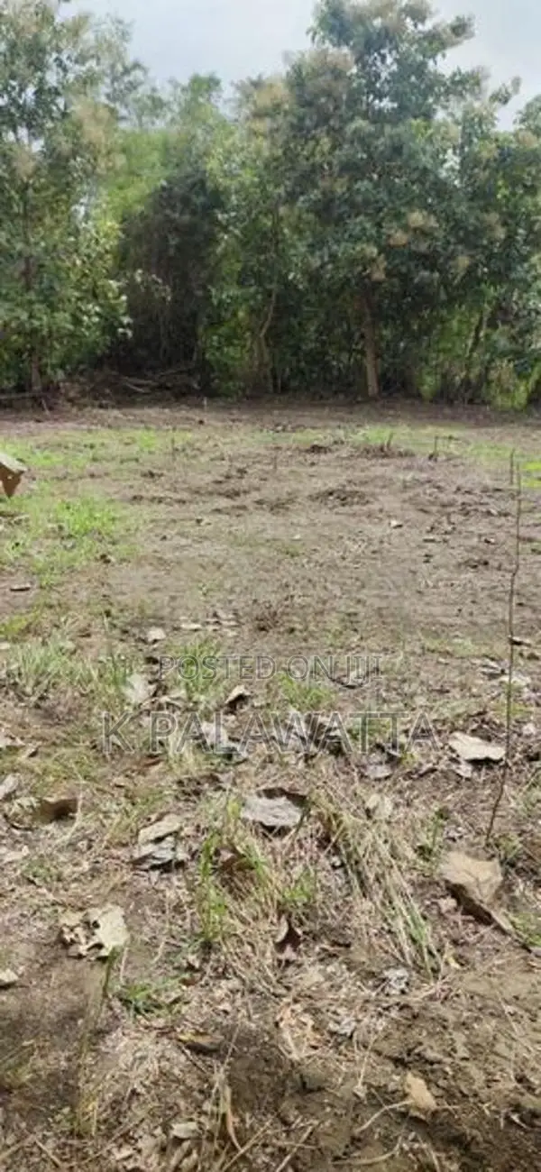 බුත්තල වටිනා ඉඩම