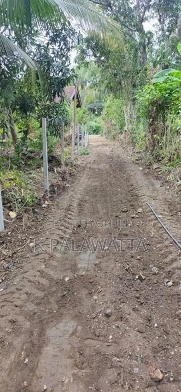 බුත්තල වටිනා ඉඩම