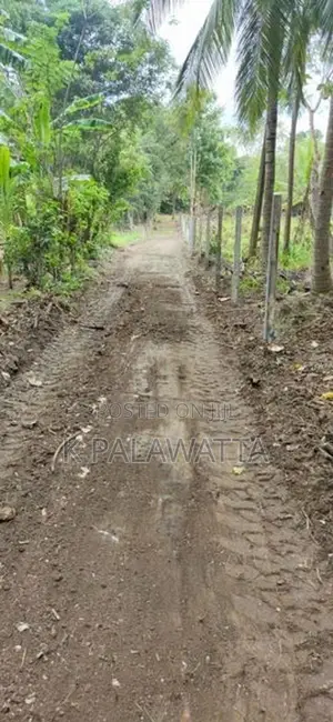 බුත්තල වටිනා ඉඩම