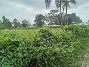 Bare Land for Sale in Ja-Ela