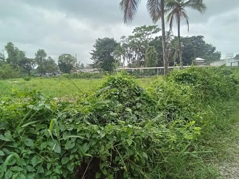 Bare Land for Sale in Ja-Ela