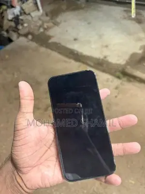 Apple iPhone 13 Pro (Used)