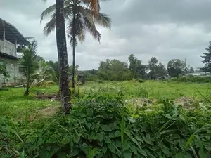 Bare Land for Sale in Ja-Ela