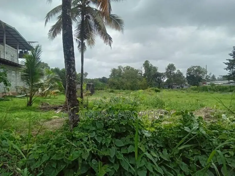 Bare Land for Sale in Ja-Ela