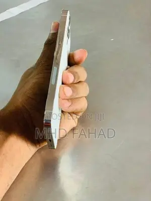 Apple iPhone 12 Pro (Used)