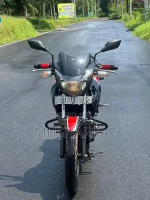 TVS Apache RTR 160 2V 2019