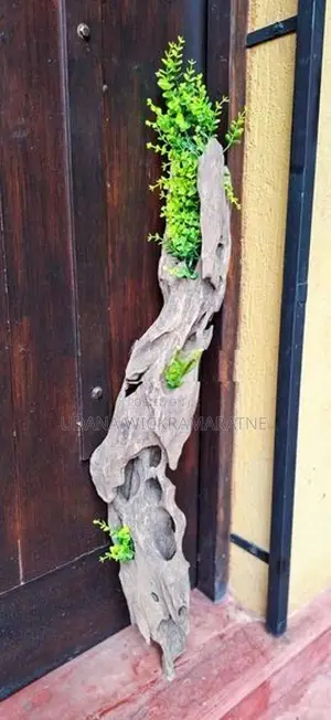 Fish tank wooden log – 36 in x 5