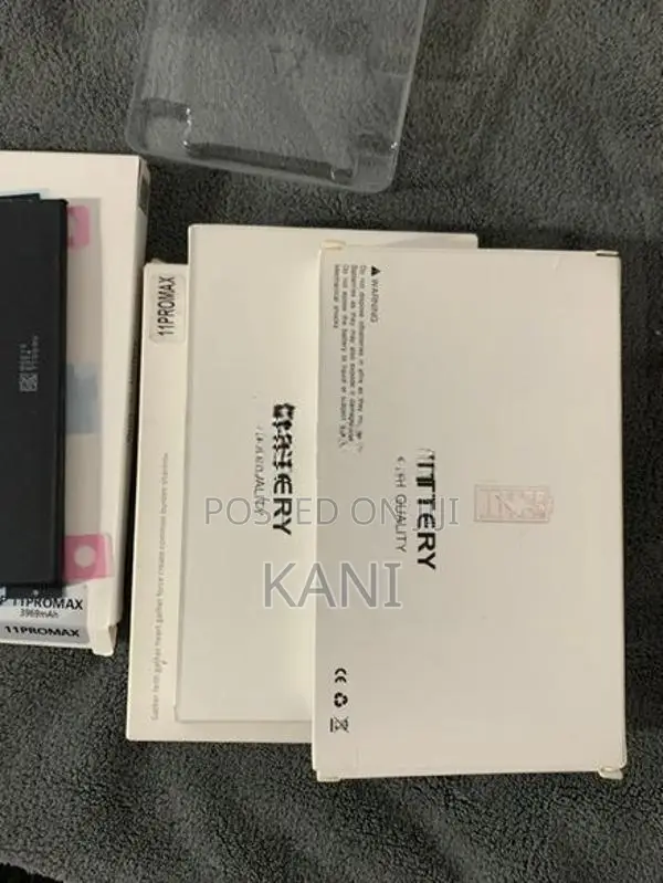 Apple iPhone 11 Pro Max Battery