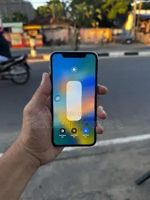 Apple iPhone X (Used)