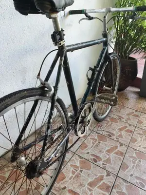 Rover Bicycle