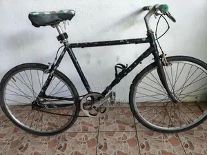 Rover Bicycle