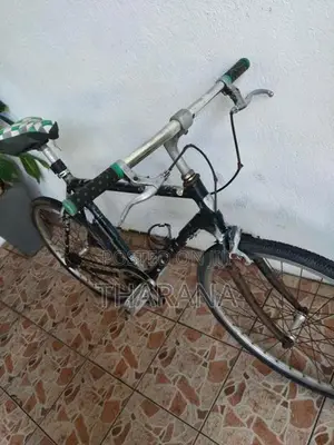 Rover Bicycle