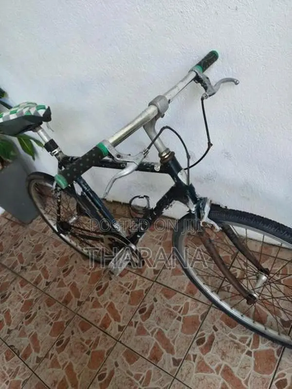 Rover Bicycle