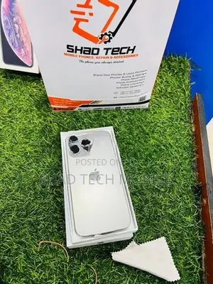 Apple iPhone 16 Pro Max 256GB (Used)