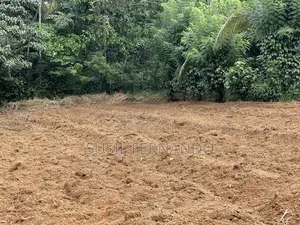 80 P Residential Land for Sale Gonapola