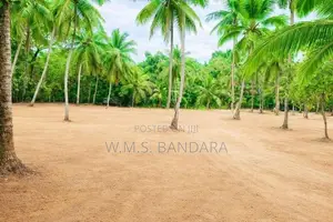 Near Kirindiwela Town Area Property for Sale P5