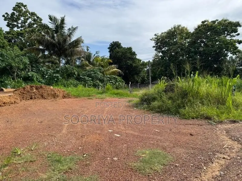 12 P. Residential Land for Sale in Piliyandala Suwarapola