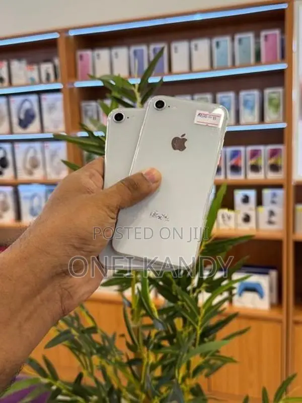 Apple iPhone 8 256GB (Used)