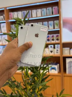Apple iPhone 8 256GB (Used)