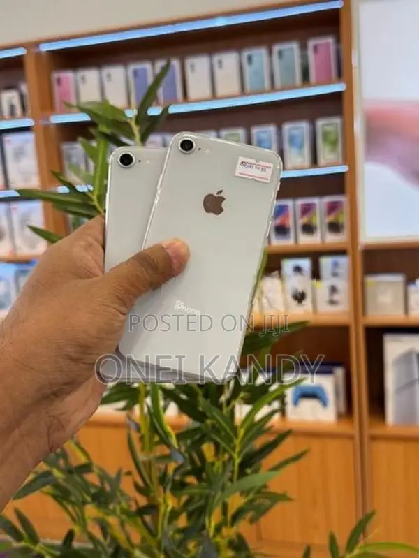 Apple iPhone 8 256GB (Used)