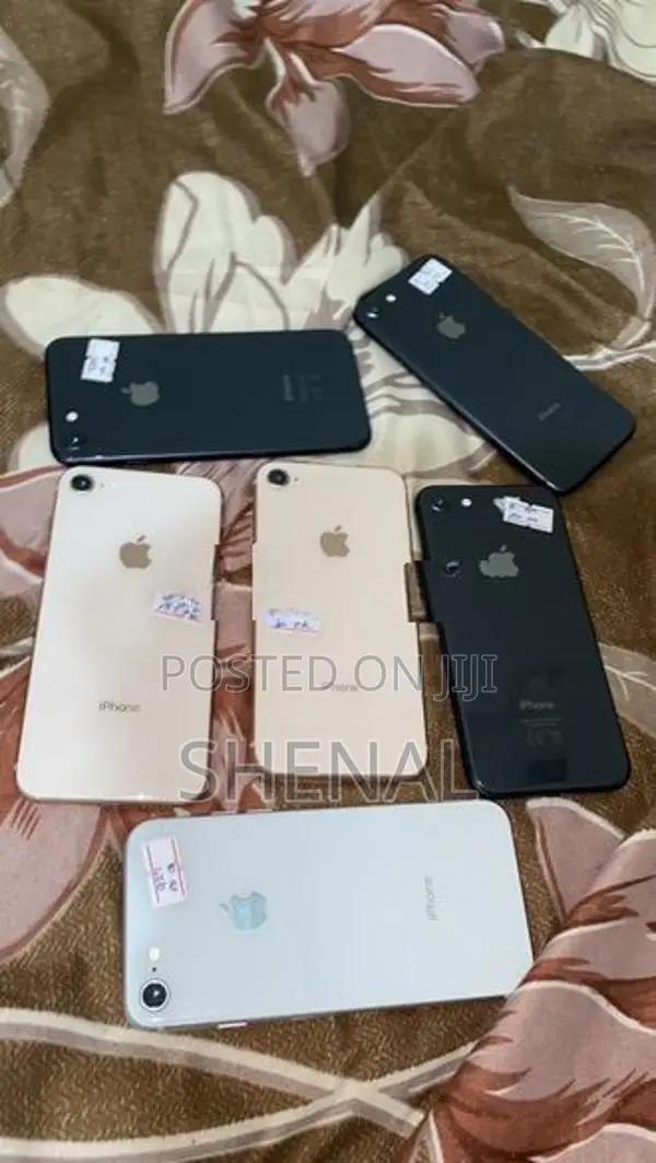 Apple iPhone 8 (Used)