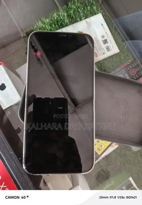 Apple iPhone 12 Pro Max (Used)