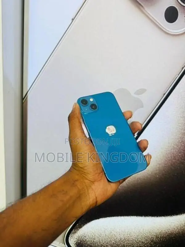 Apple iPhone 13 256GB (Used)