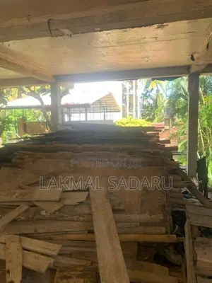 සැටලිම