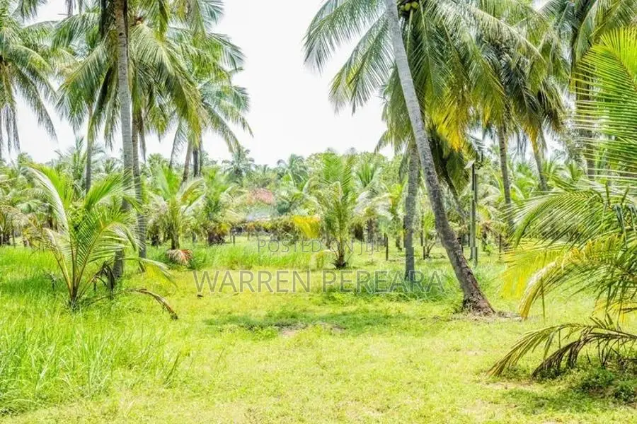 Land for Sale - Pasikuda Sri Lanka