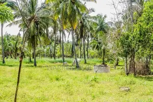 Land for Sale - Pasikuda Sri Lanka